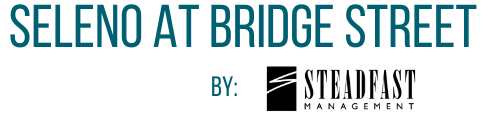 Seleno at Bridge Street logo